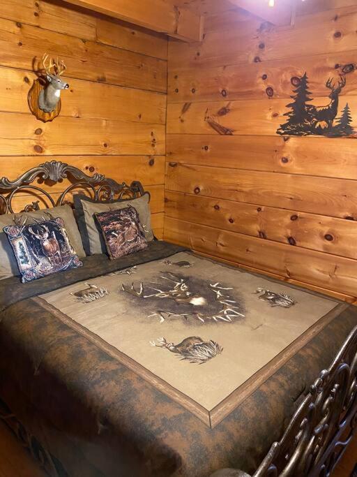 Bear Country Cabin سيفيرفيل المظهر الخارجي الصورة
