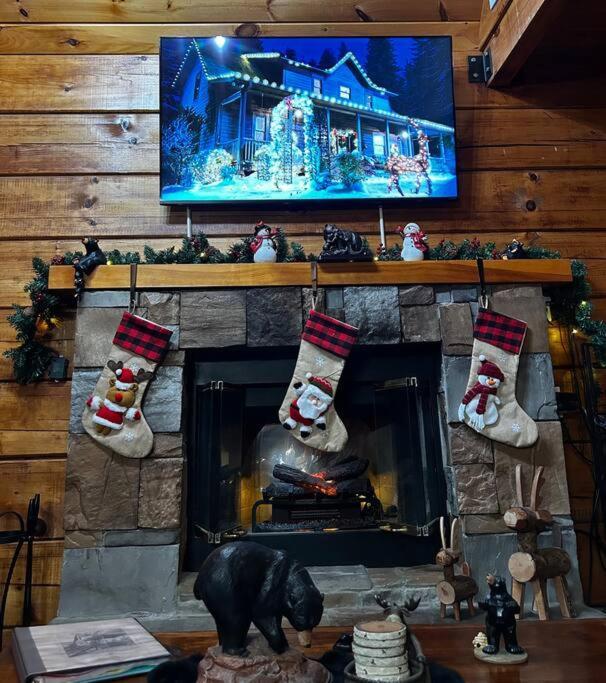 Bear Country Cabin سيفيرفيل المظهر الخارجي الصورة