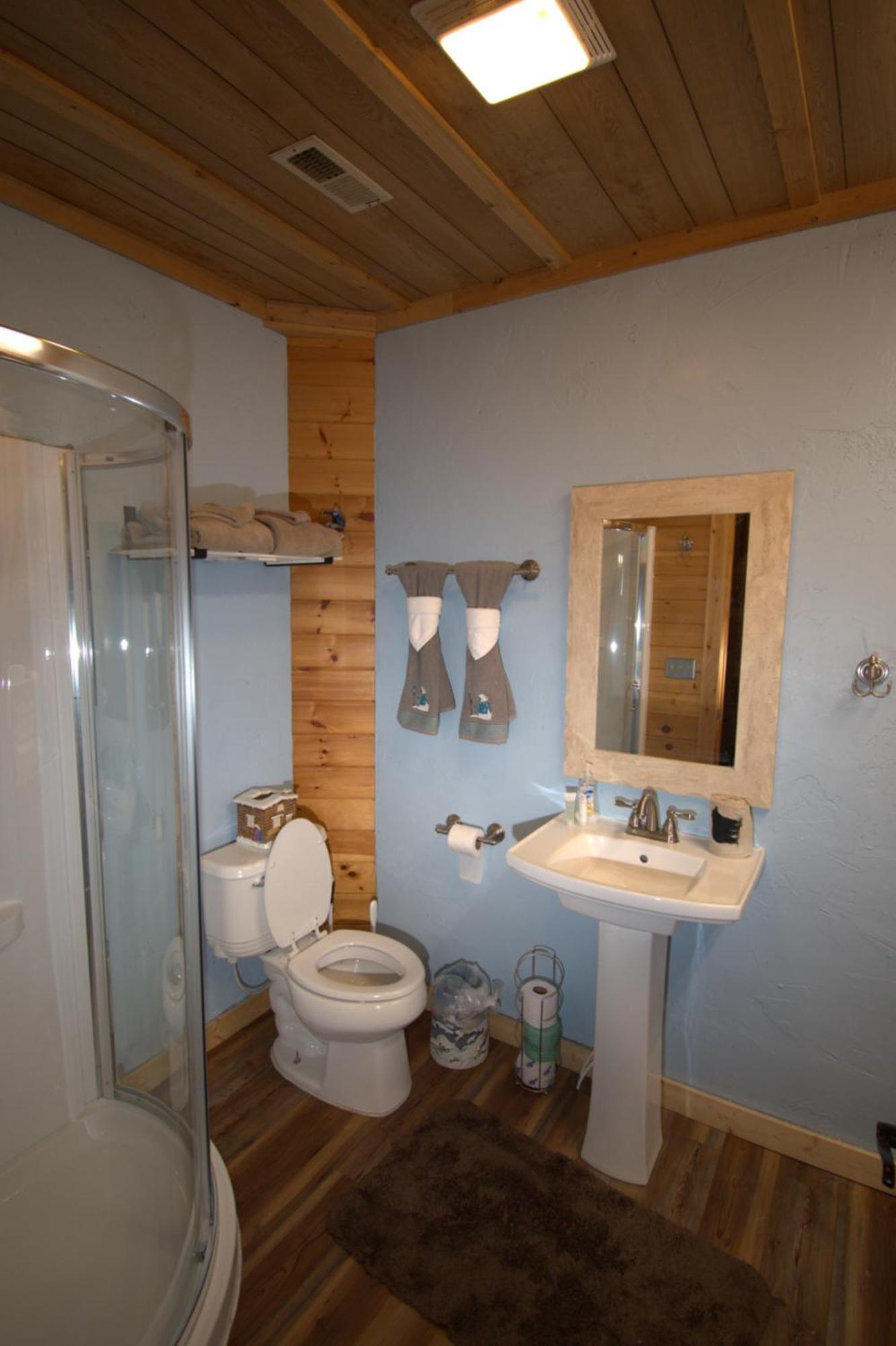 Bear Country Cabin سيفيرفيل المظهر الخارجي الصورة